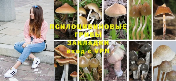 гашик Каменск-Шахтинский