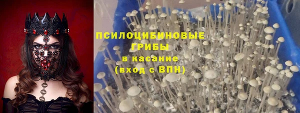 гашик Каменск-Шахтинский