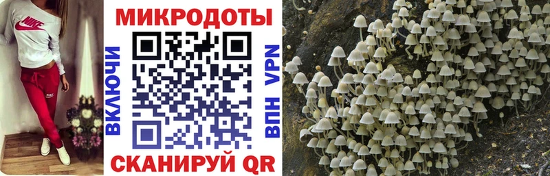 Псилоцибиновые грибы GOLDEN TEACHER  Купить  Чёрмоз 